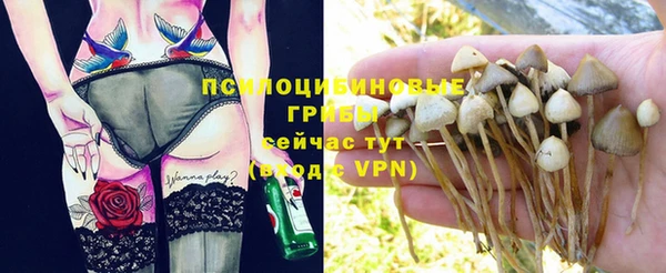 mdpv Армянск