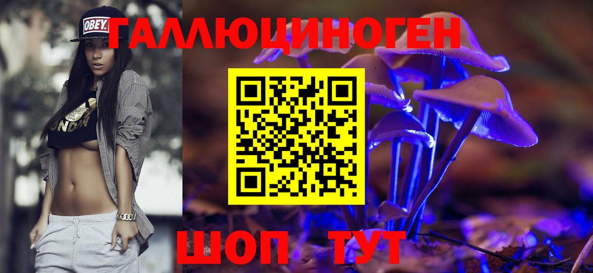 купить закладку  Вход с VPN  Кирово-Чепецк  Галлюциногенные грибы прущие грибы 